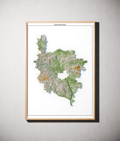 Landkreis Amberg-Sulzbach Poster als schattierte Reliefkarte, Farbvariante Salbei, gerahmt an einer Wand #c1