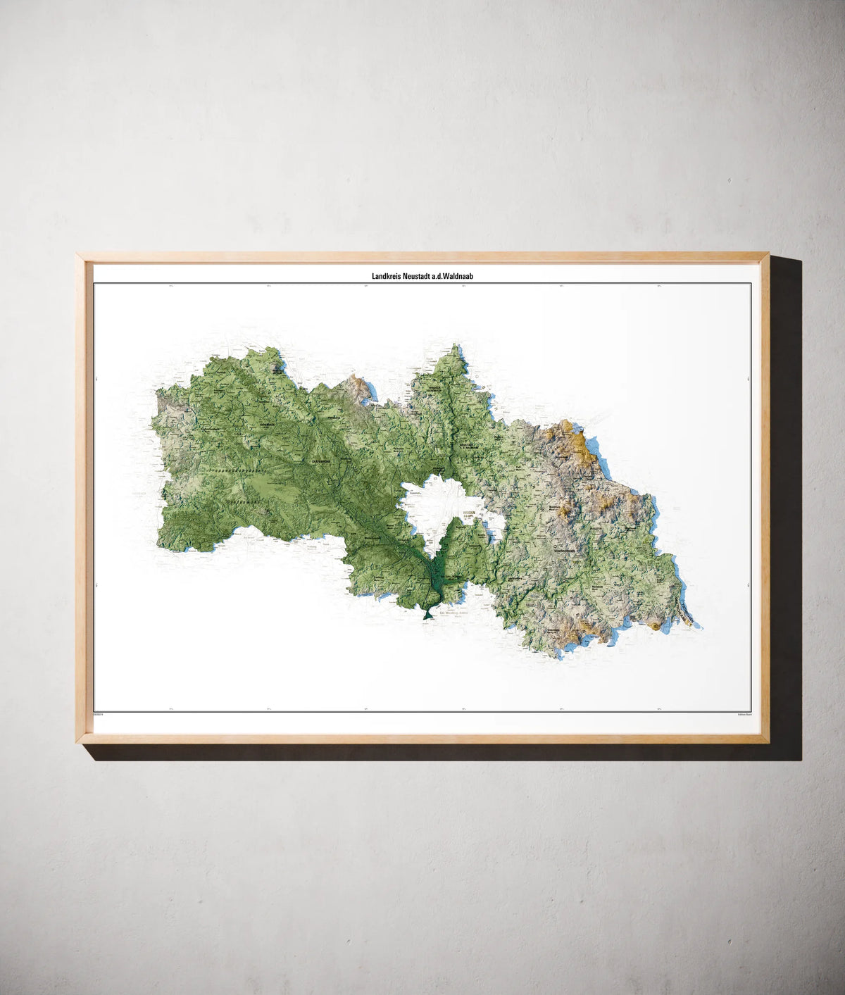 Landkreis Neustadt a.d.Waldnaab Poster als schattierte Reliefkarte, Farbvariante Salbei, gerahmt an einer Wand #c1