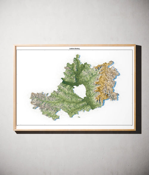 Landkreis Bamberg Poster als schattierte Reliefkarte, Farbvariante Salbei, gerahmt an einer Wand #c1