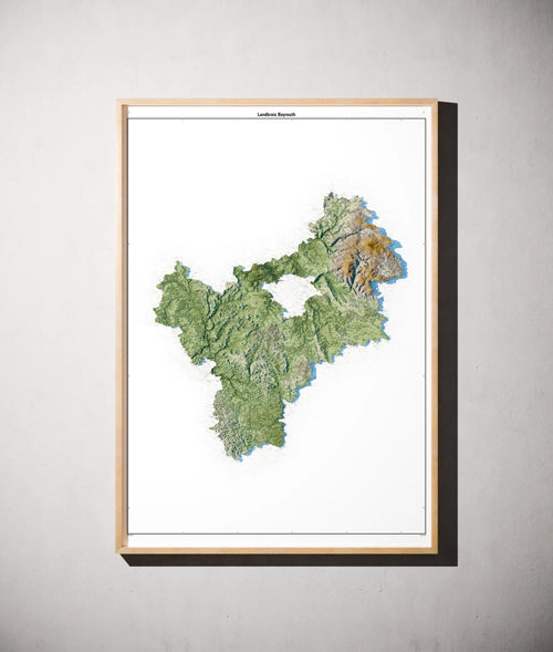 Landkreis Bayreuth Poster als schattierte Reliefkarte, Farbvariante Salbei, gerahmt an einer Wand #c1