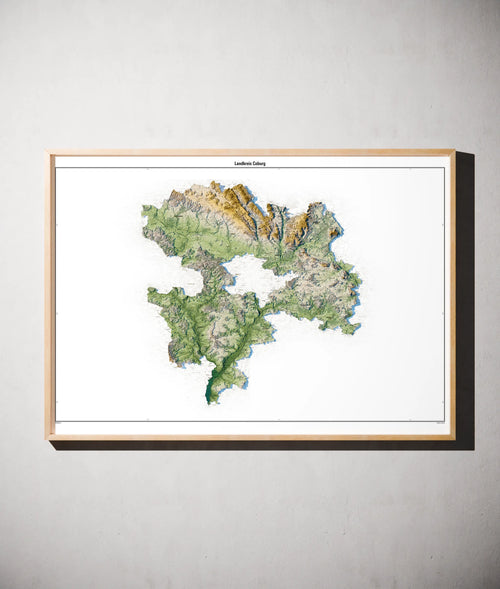 Landkreis Coburg Poster als schattierte Reliefkarte, Farbvariante Salbei, gerahmt an einer Wand #c1