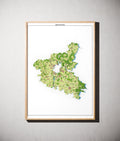 Landkreis Schweinfurt Poster als schattierte Reliefkarte, Farbvariante Topographisch, gerahmt an einer Wand #dtk